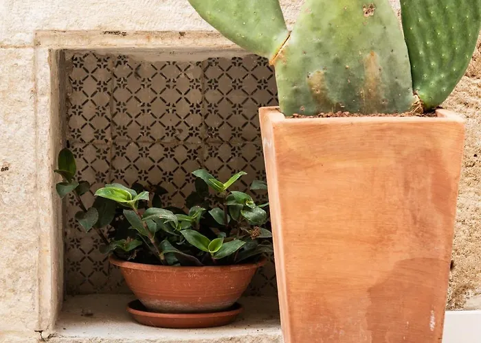 Le Dimore Di Rosa E Vincenzo * Μπάρι