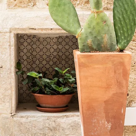 Le Dimore Di Rosa E Vincenzo 3* باري